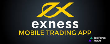 Everything You Need to Know About Exness Broker Registration 13