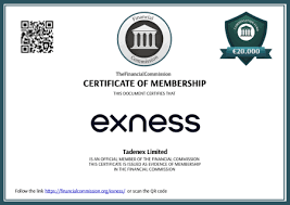 Everything You Need to Know About Exness Broker Registration 13