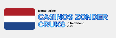Buitenslands Online Casino De Beste Opties voor Spelers in Nederland